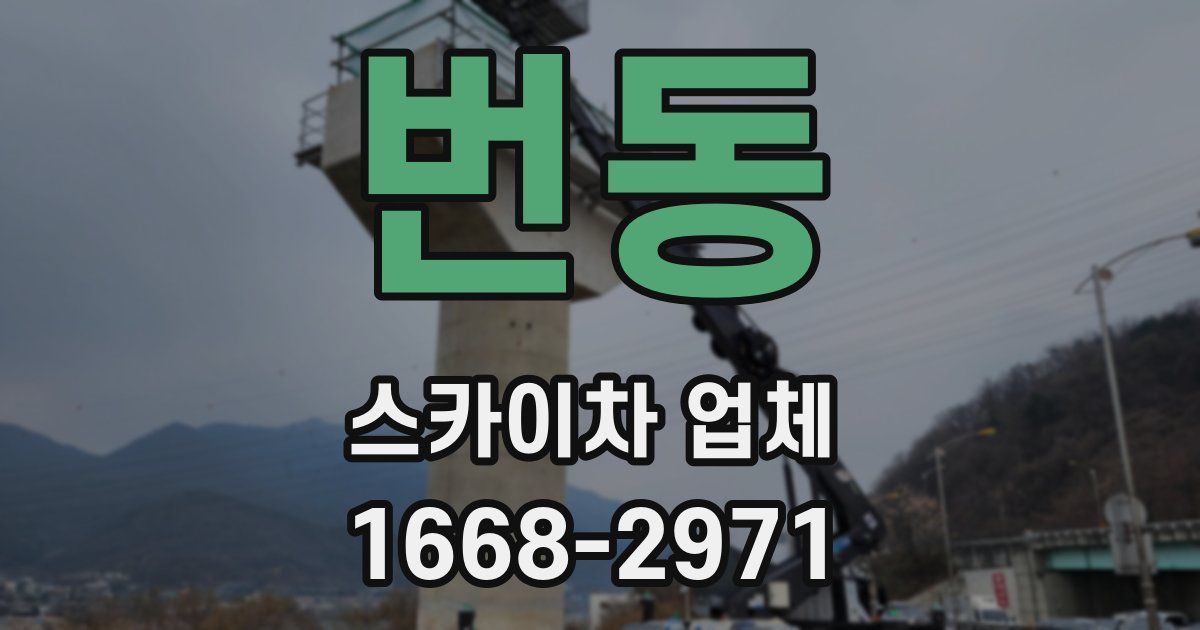 번동 스카이차 업체