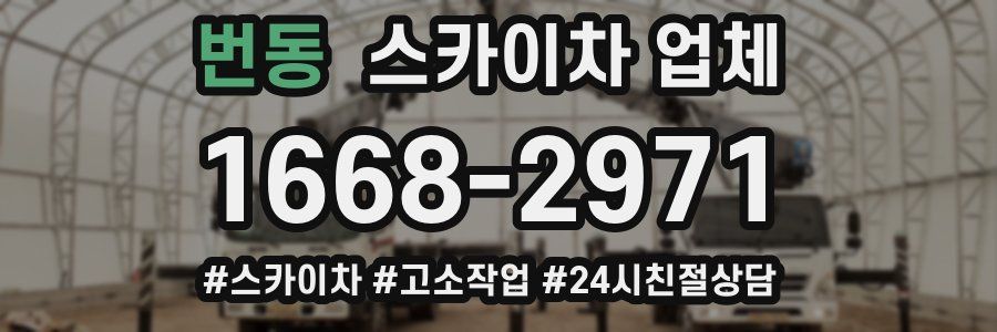 번동 스카이차 업체