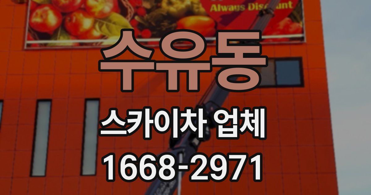 수유동 스카이차 업체