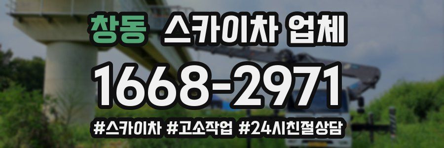 창동 스카이차 업체