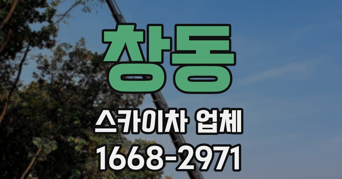 창동 스카이차 업체