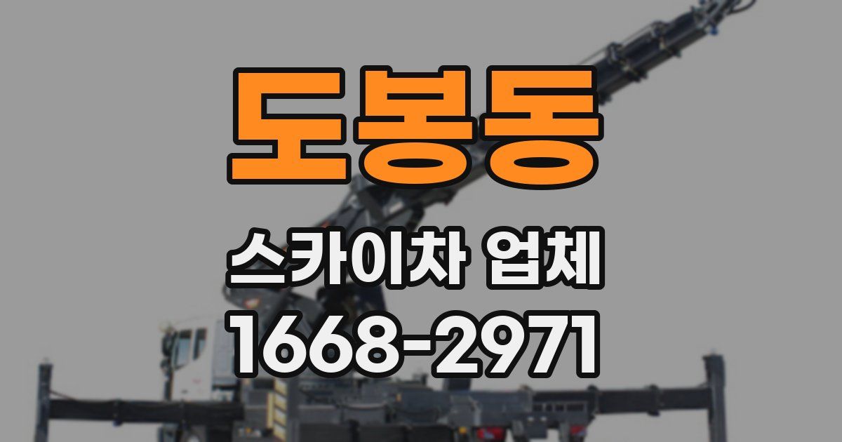 도봉동 스카이차 업체