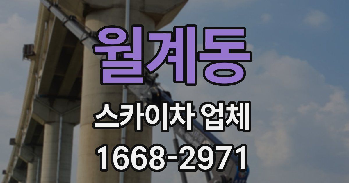 월계동 스카이차 업체