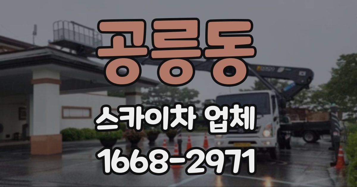공릉동 스카이차 업체