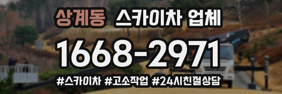 상계동 스카이차 업체