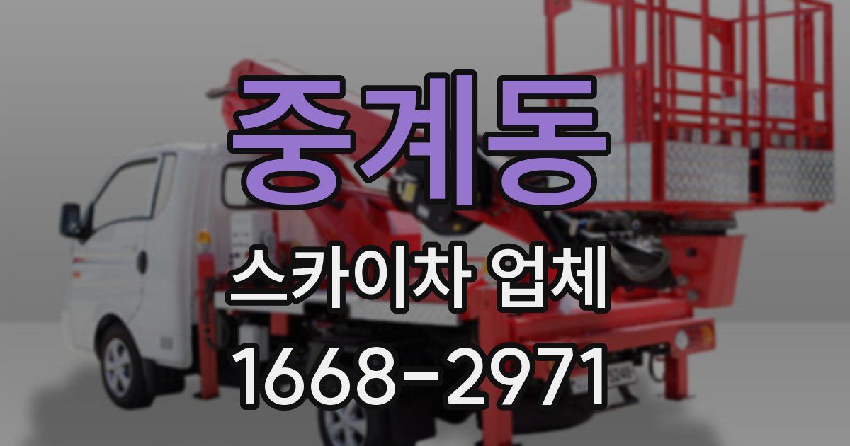 중계동 스카이차 업체