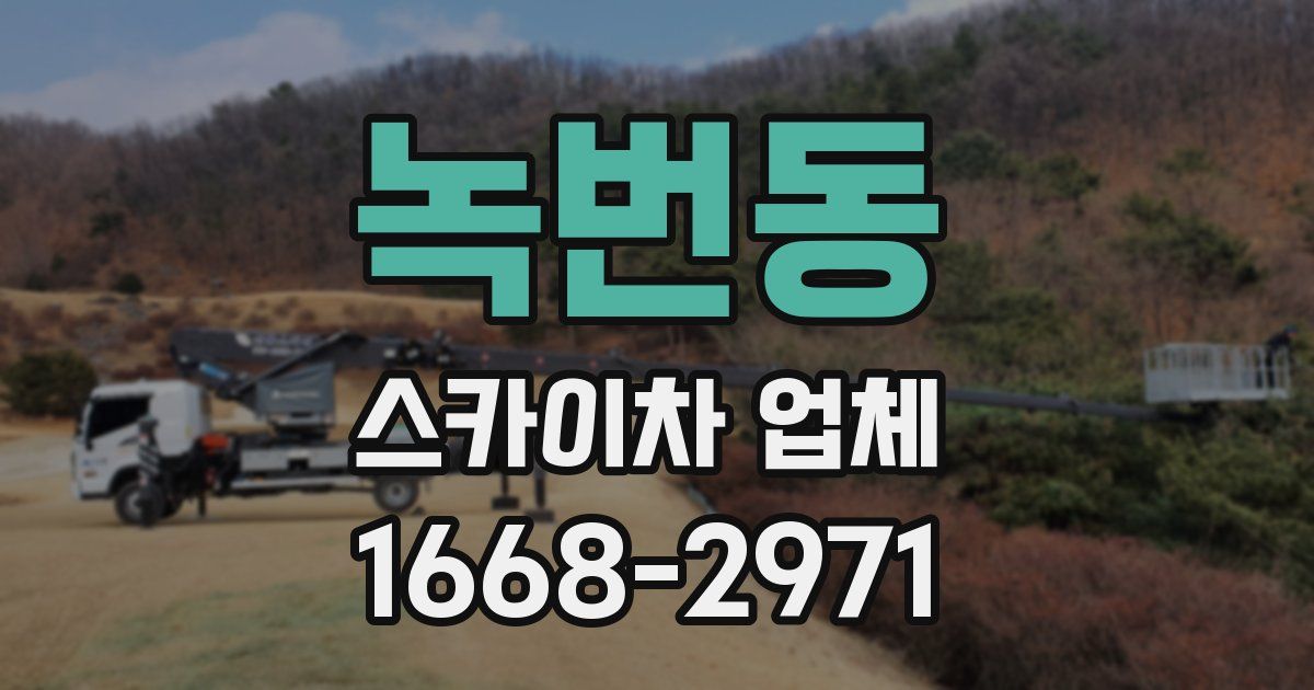 녹번동 스카이차 업체