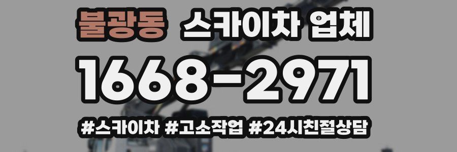 불광동 스카이차 업체