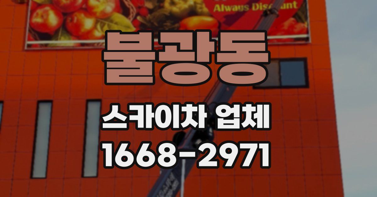 불광동 스카이차 업체