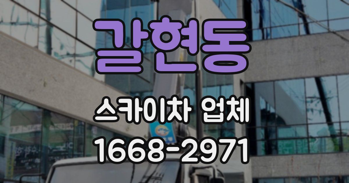 갈현동 스카이차 업체
