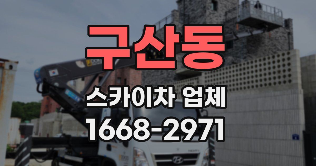 구산동 스카이차 업체