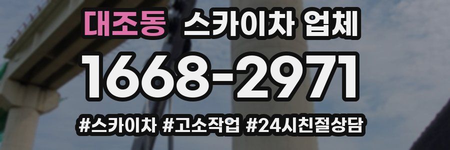 대조동 스카이차 업체