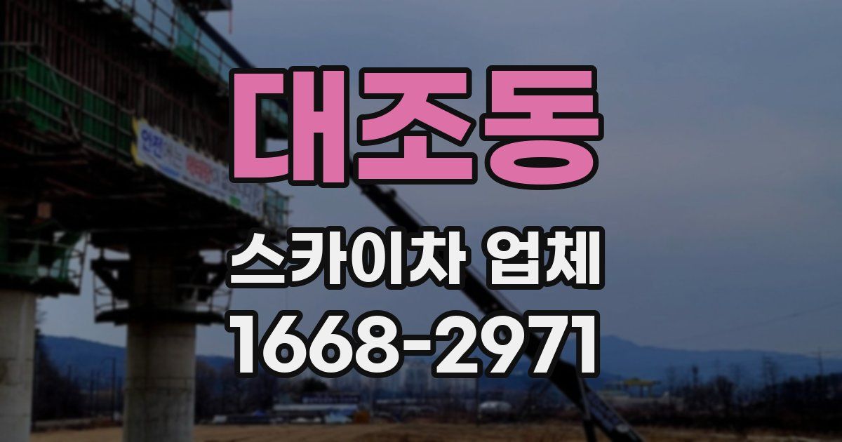 대조동 스카이차 업체