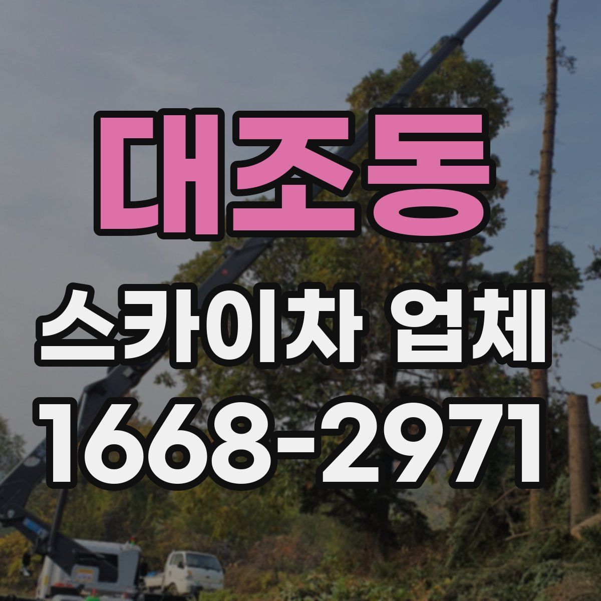 대조동 스카이차 업체