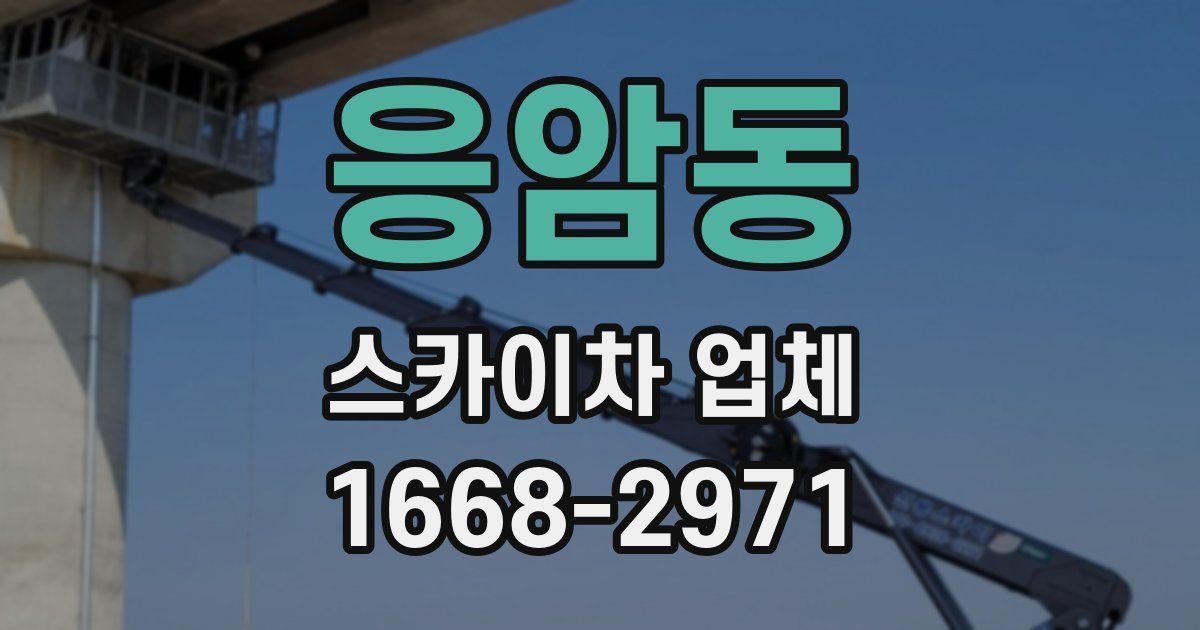 응암동 스카이차 업체