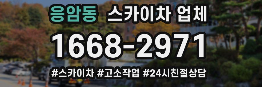 응암동 스카이차 업체