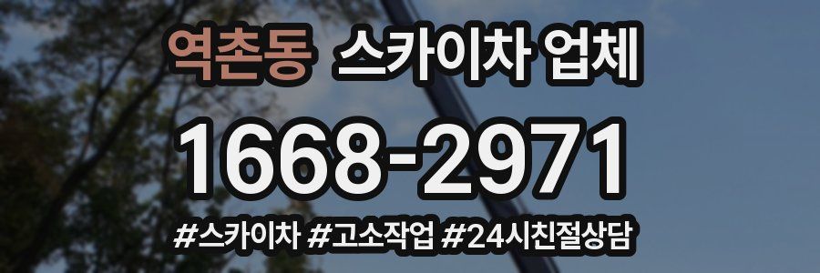 역촌동 스카이차 업체