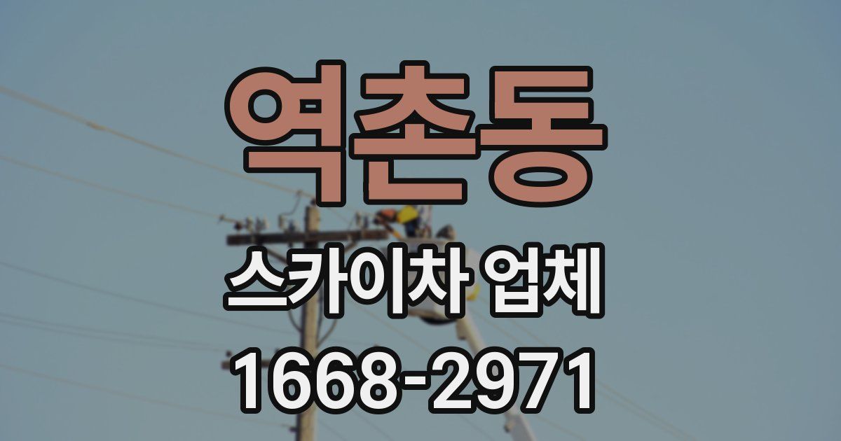 역촌동 스카이차 업체
