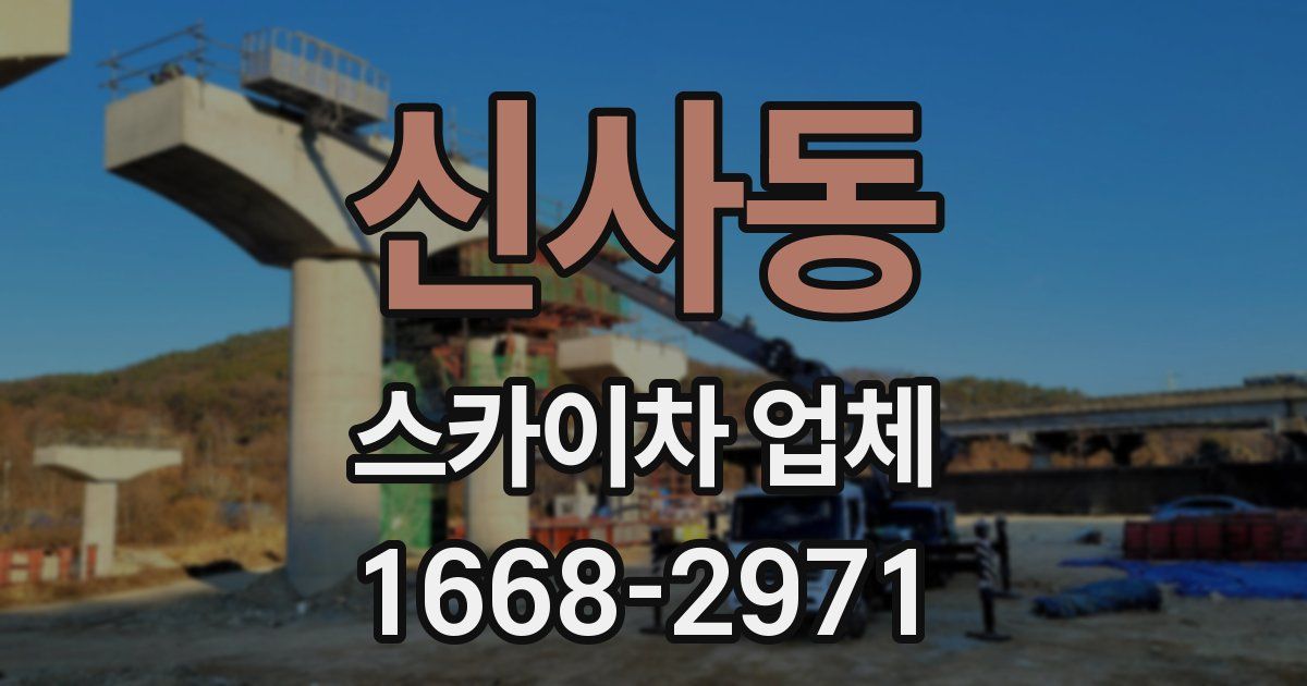 신사동 스카이차 업체