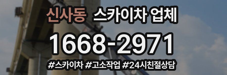 신사동 스카이차 업체