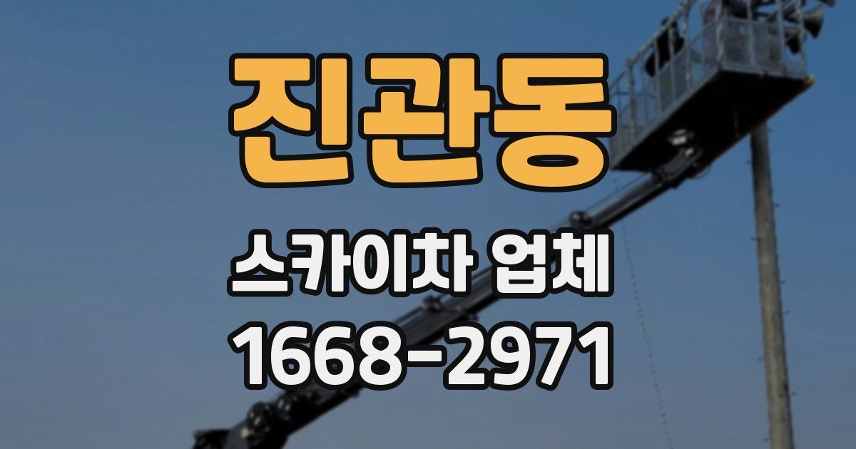 진관동 스카이차 업체