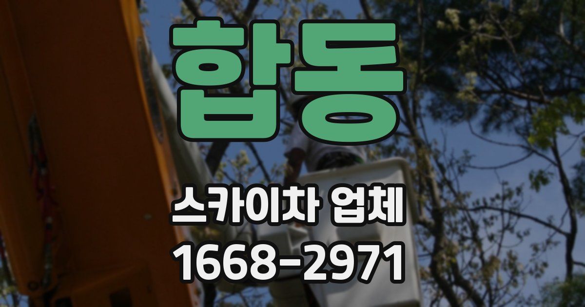 합동 스카이차 업체