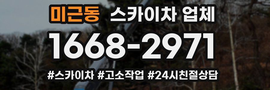 미근동 스카이차 업체
