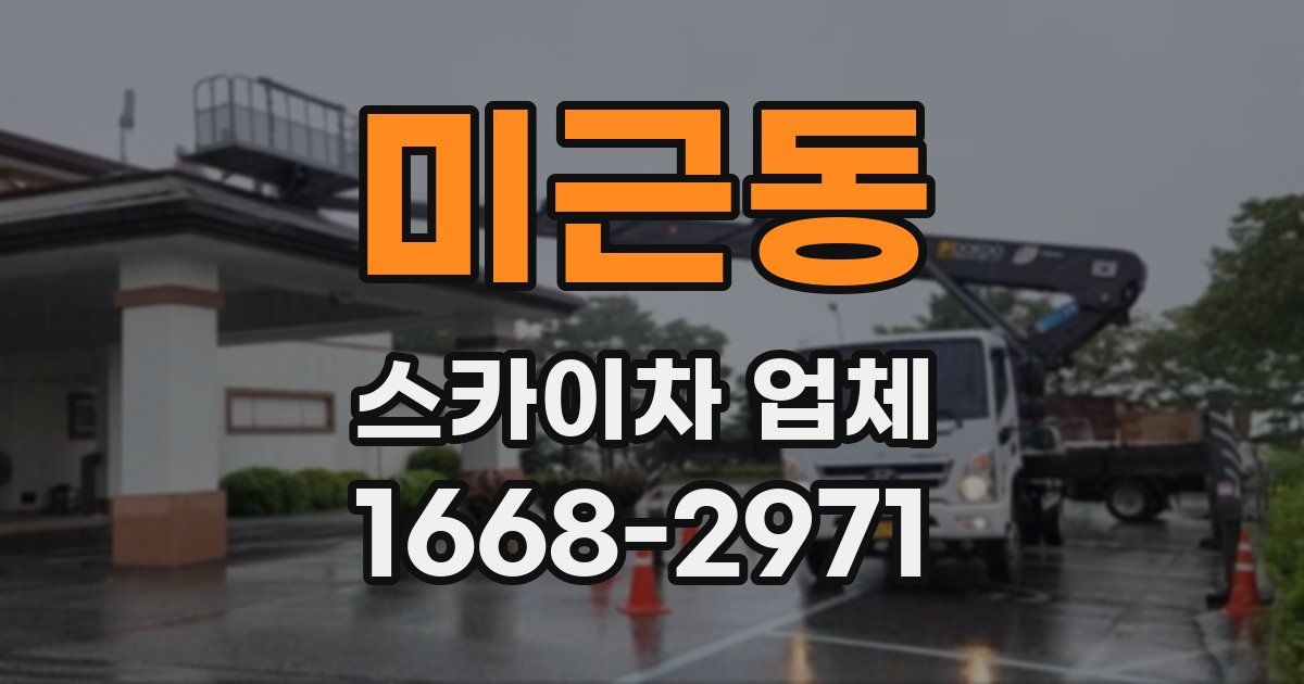 미근동 스카이차 업체