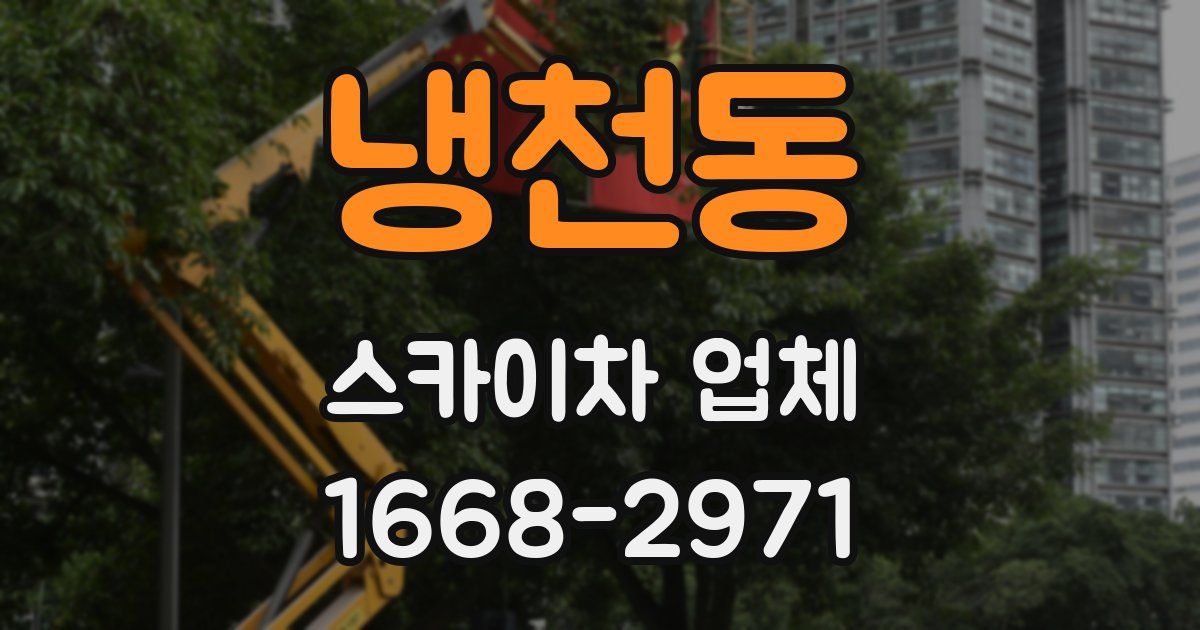 냉천동 스카이차 업체
