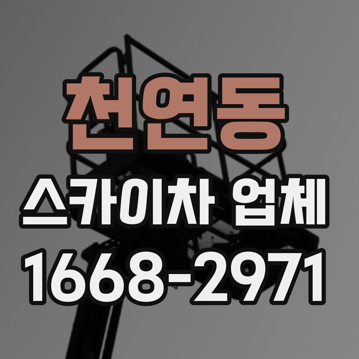 천연동 스카이차 업체