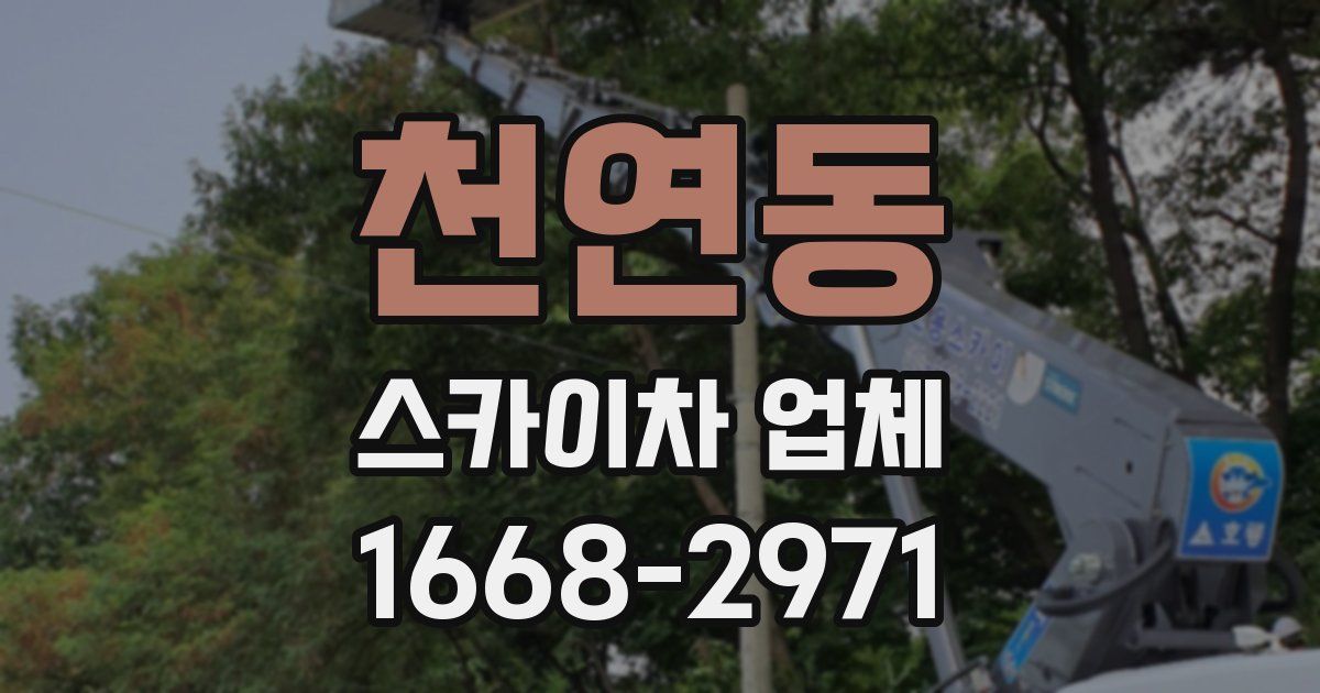 천연동 스카이차 업체