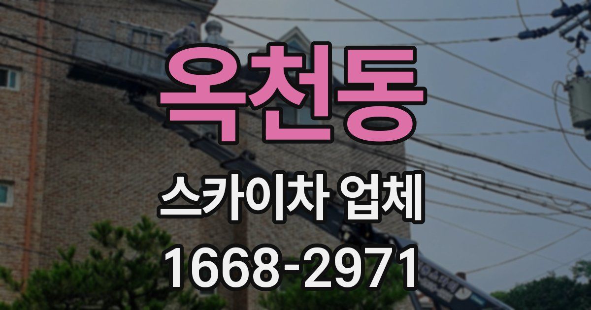 옥천동 스카이차 업체