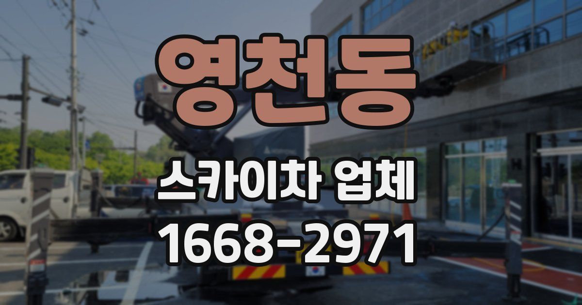 영천동 스카이차 업체