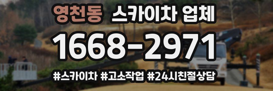 영천동 스카이차 업체