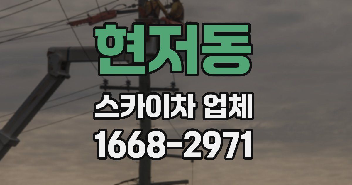 현저동 스카이차 업체