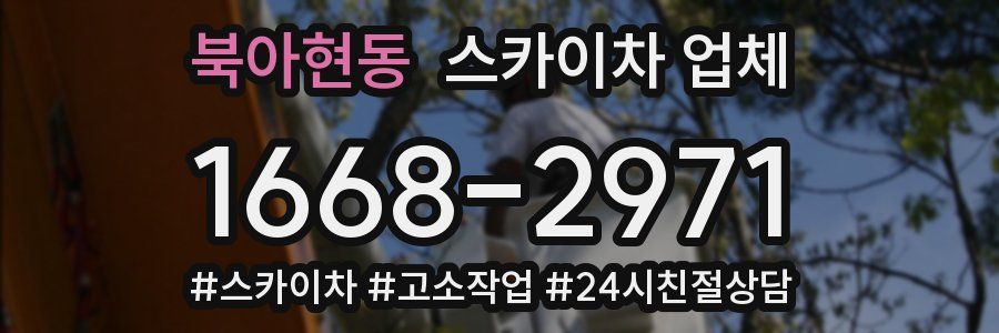 북아현동 스카이차 업체