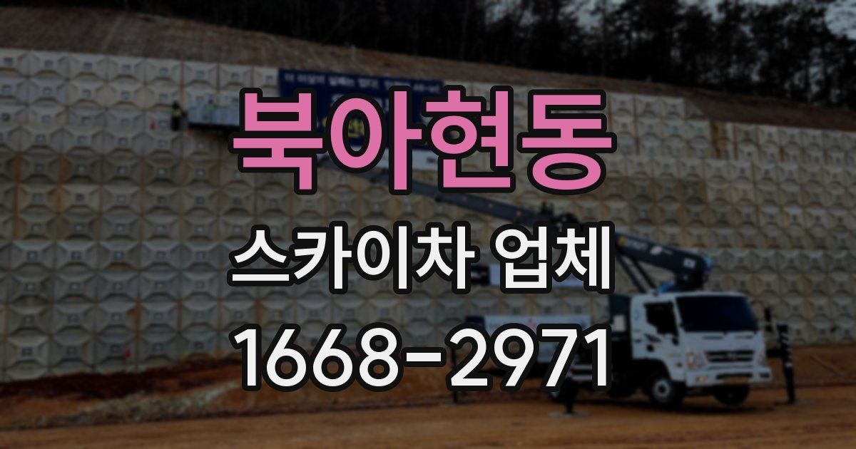 북아현동 스카이차 업체