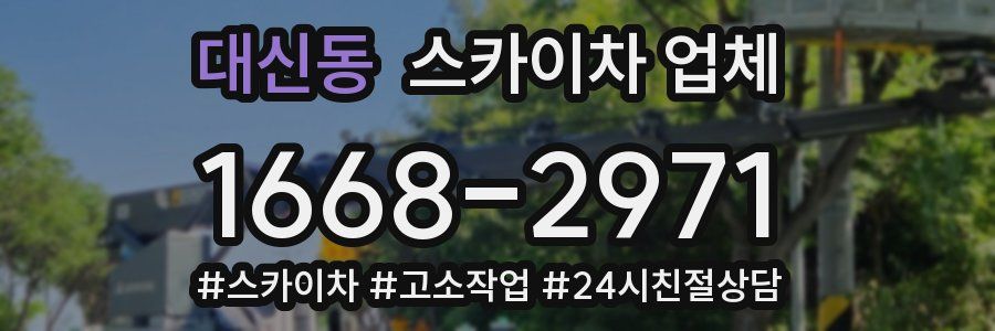 대신동 스카이차 업체