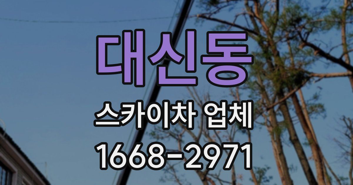 대신동 스카이차 업체
