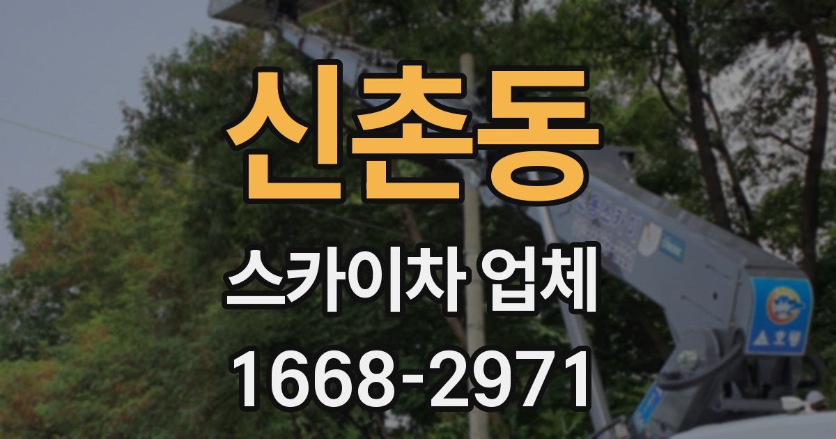 신촌동 스카이차 업체