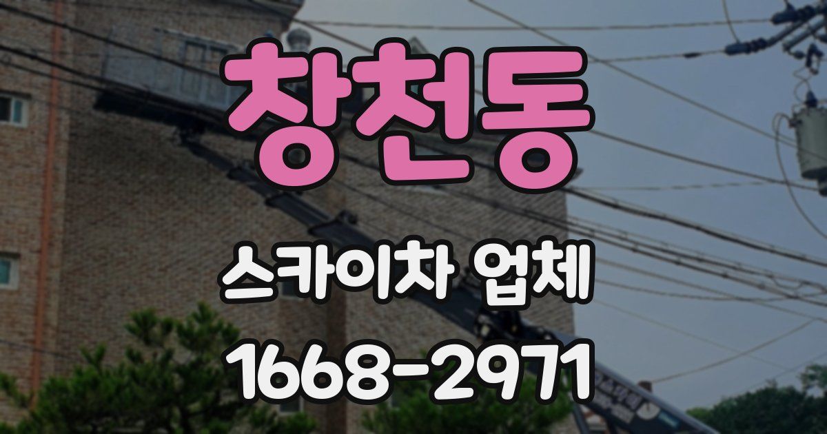 창천동 스카이차 업체
