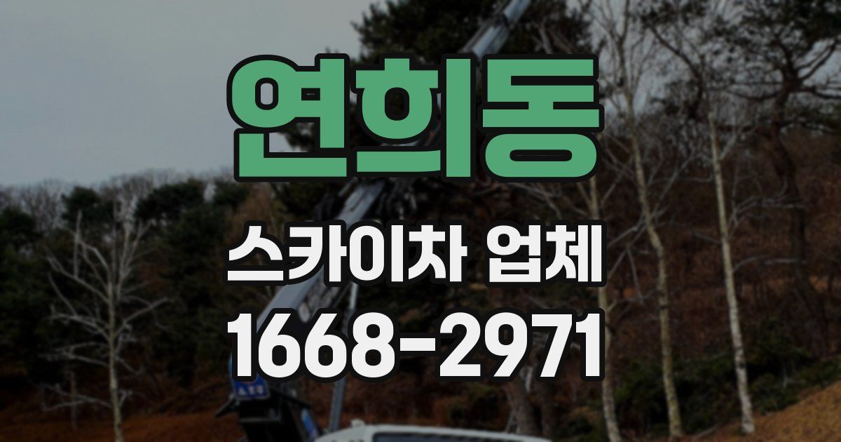 연희동 스카이차 업체