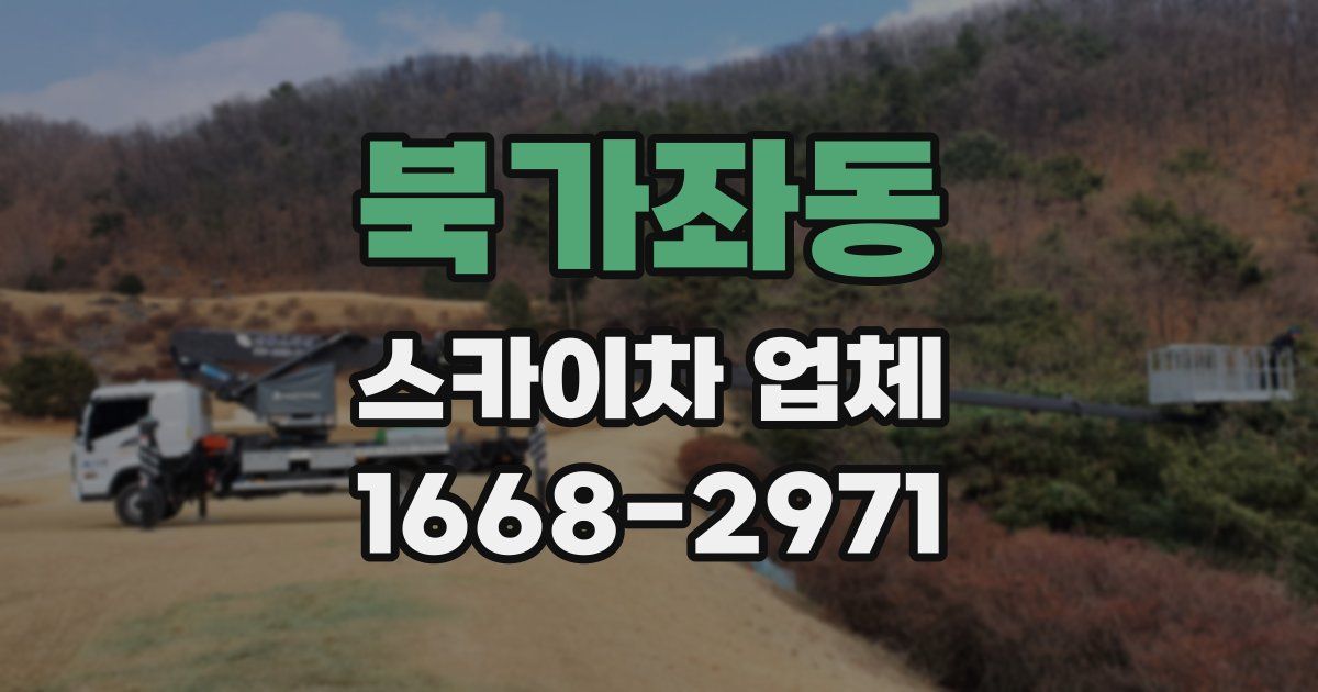 북가좌동 스카이차 업체
