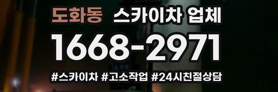 도화동 스카이차 업체