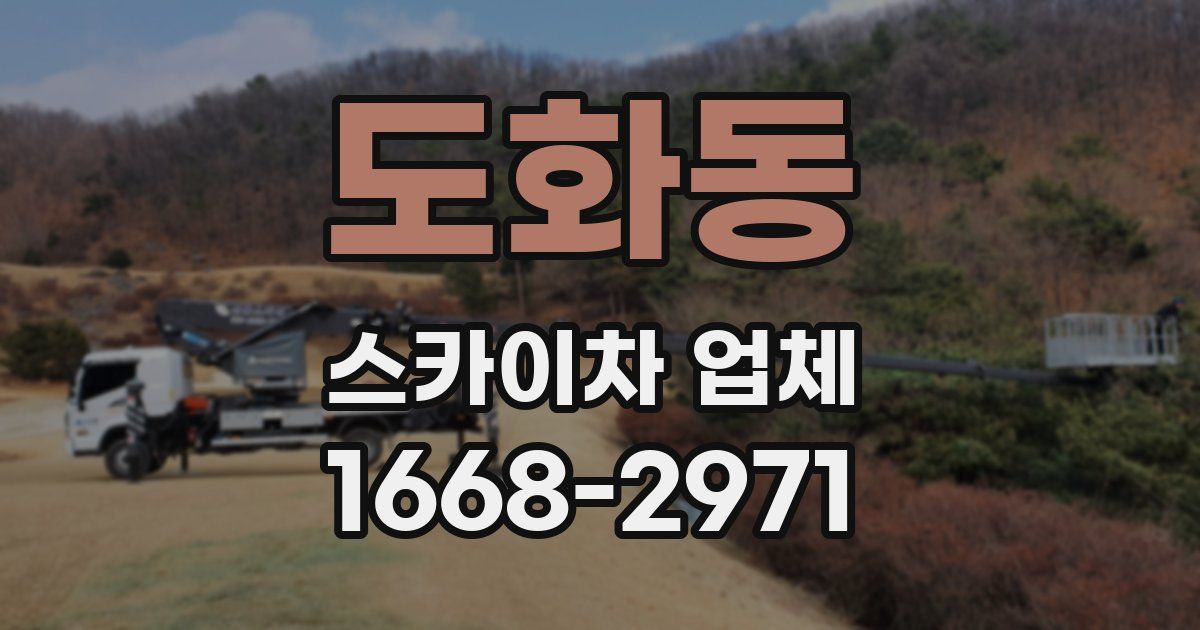 도화동 스카이차 업체