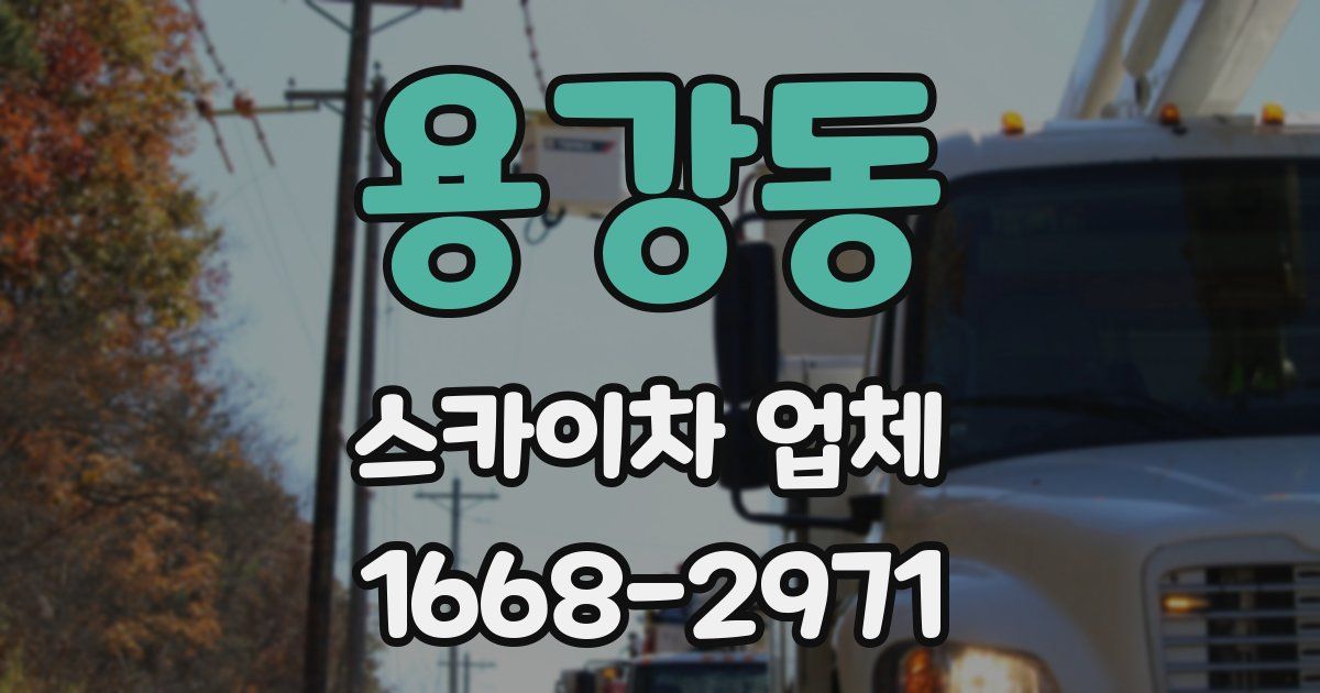 용강동 스카이차 업체
