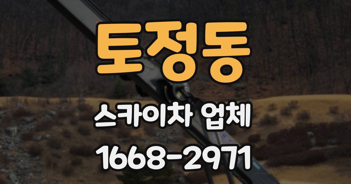 토정동 스카이차 업체