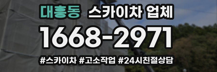 대흥동 스카이차 업체