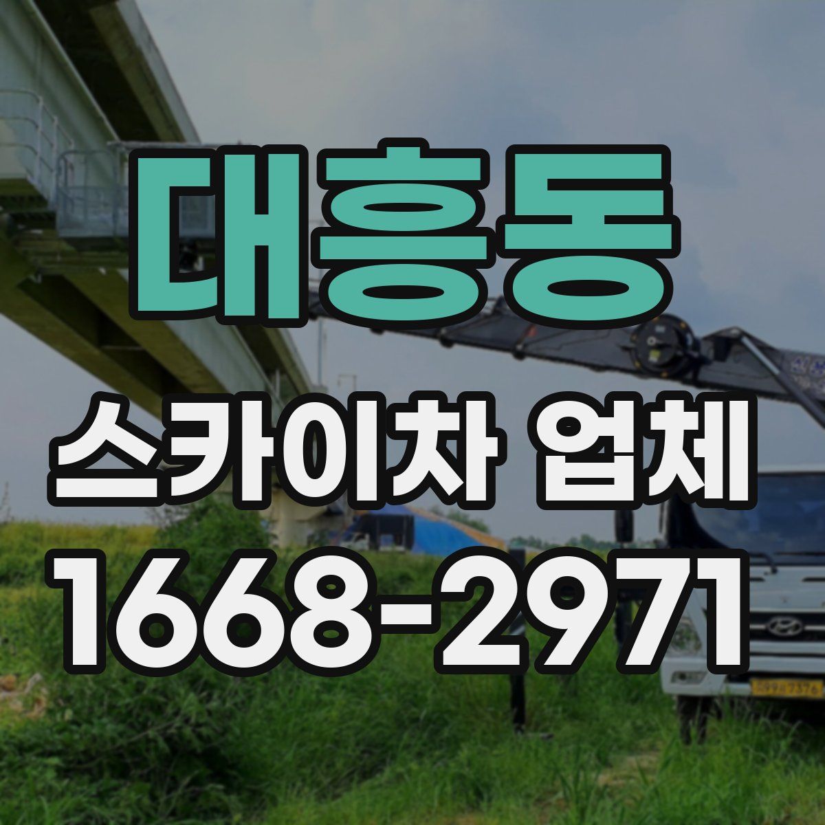 대흥동 스카이차 업체