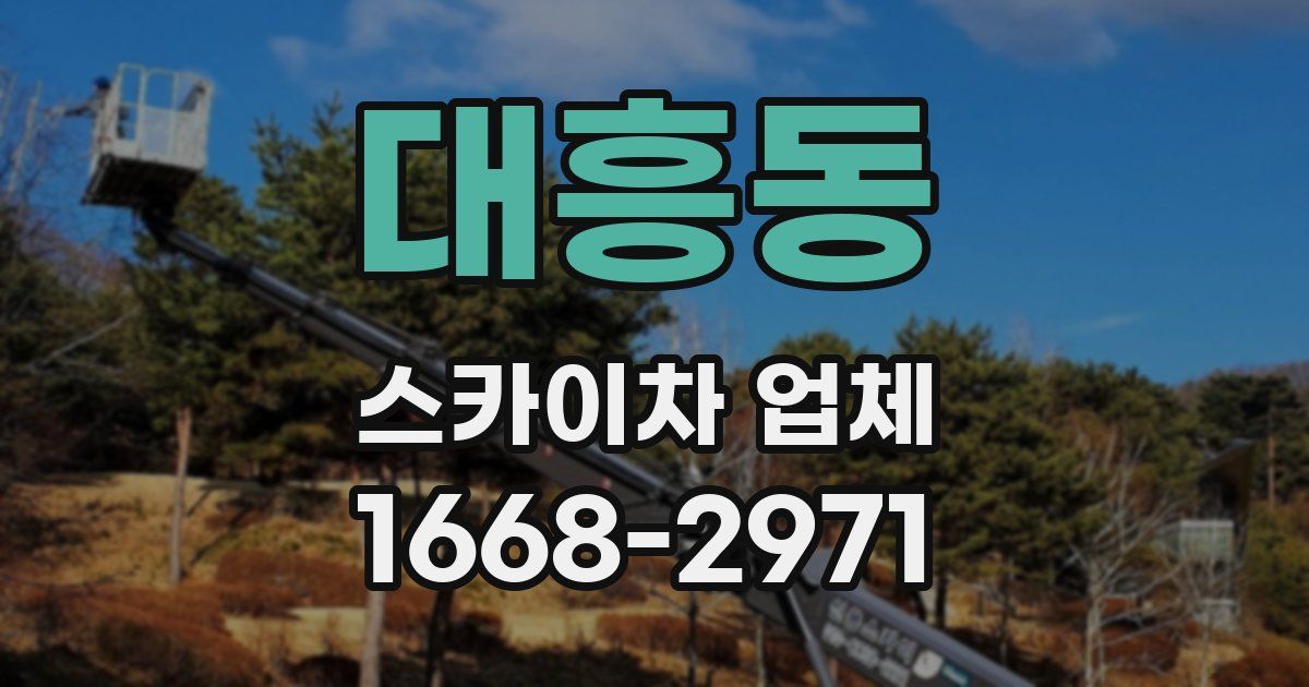 대흥동 스카이차 업체